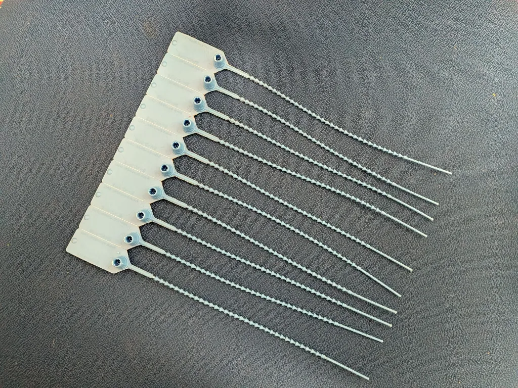 PXL_20260219_155340512 (2).webp